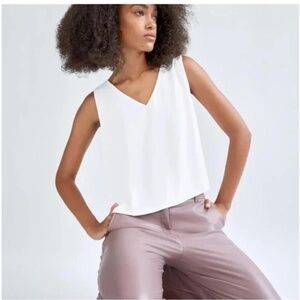 Aritzia Babaton Blouse